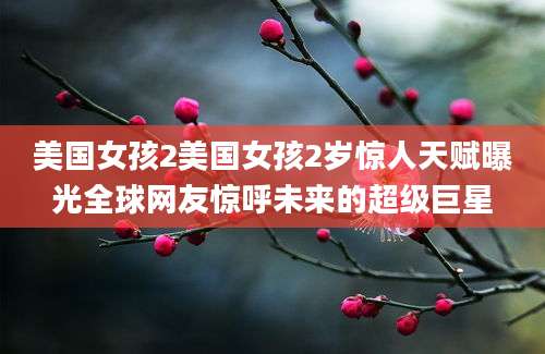 美国女孩2美国女孩2岁惊人天赋曝光全球网友惊呼未来的超级巨星