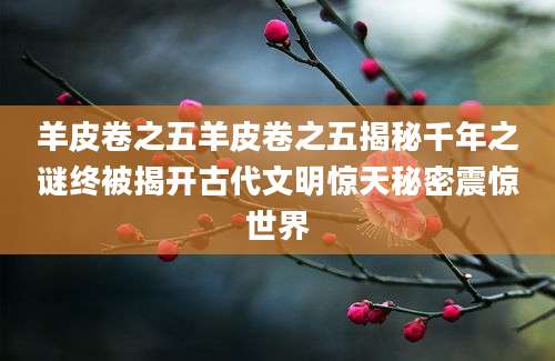 羊皮卷之五羊皮卷之五揭秘千年之谜终被揭开古代文明惊天秘密震惊世界