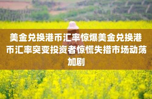 美金兑换港币汇率惊爆美金兑换港币汇率突变投资者惊慌失措市场动荡加剧