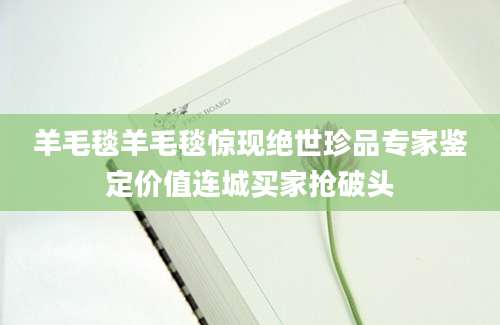 羊毛毯羊毛毯惊现绝世珍品专家鉴定价值连城买家抢破头