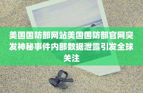 美国国防部网站美国国防部官网突发神秘事件内部数据泄露引发全球关注