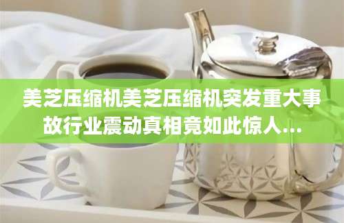 美芝压缩机美芝压缩机突发重大事故行业震动真相竟如此惊人...
