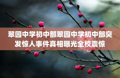 翠园中学初中部翠园中学初中部突发惊人事件真相曝光全校震惊