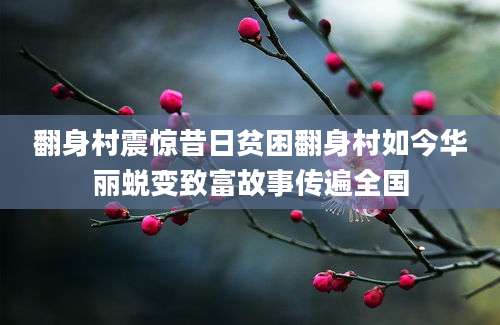 翻身村震惊昔日贫困翻身村如今华丽蜕变致富故事传遍全国