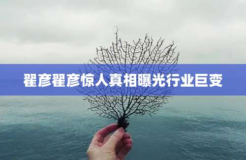 翟彦翟彦惊人真相曝光行业巨变