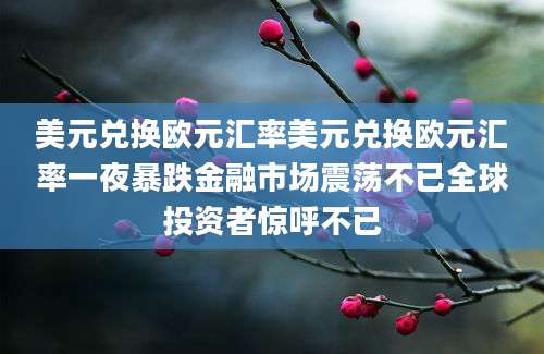 美元兑换欧元汇率美元兑换欧元汇率一夜暴跌金融市场震荡不已全球投资者惊呼不已