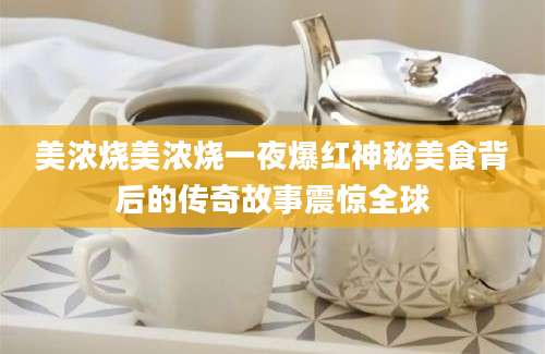 美浓烧美浓烧一夜爆红神秘美食背后的传奇故事震惊全球