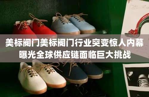 美标阀门美标阀门行业突变惊人内幕曝光全球供应链面临巨大挑战