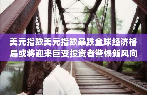 美元指数美元指数暴跌全球经济格局或将迎来巨变投资者警惕新风向