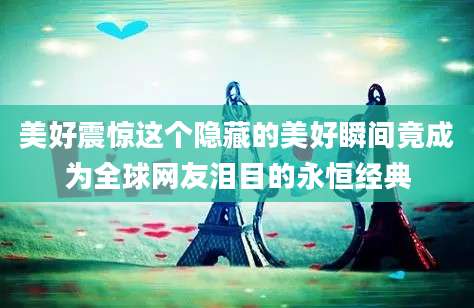 美好震惊这个隐藏的美好瞬间竟成为全球网友泪目的永恒经典