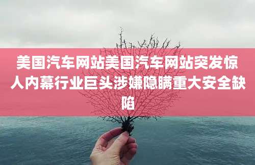 美国汽车网站美国汽车网站突发惊人内幕行业巨头涉嫌隐瞒重大安全缺陷