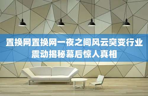 置换网置换网一夜之间风云突变行业震动揭秘幕后惊人真相