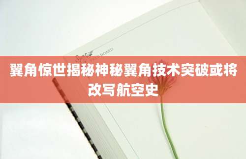 翼角惊世揭秘神秘翼角技术突破或将改写航空史