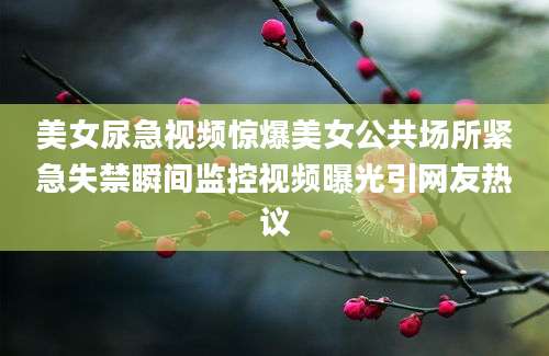 美女尿急视频惊爆美女公共场所紧急失禁瞬间监控视频曝光引网友热议