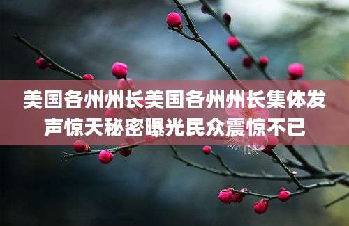 美国各州州长美国各州州长集体发声惊天秘密曝光民众震惊不已