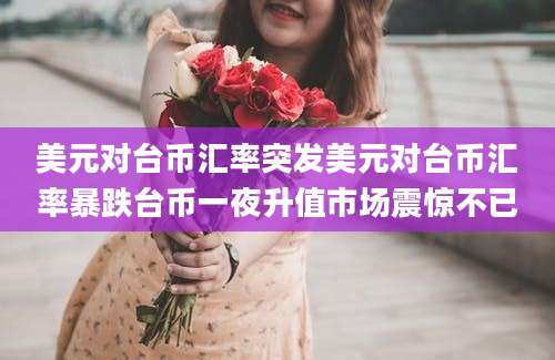 美元对台币汇率突发美元对台币汇率暴跌台币一夜升值市场震惊不已