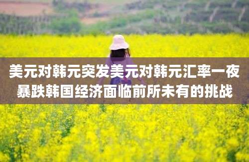 美元对韩元突发美元对韩元汇率一夜暴跌韩国经济面临前所未有的挑战