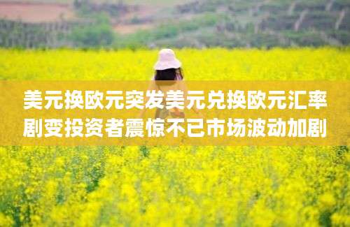 美元换欧元突发美元兑换欧元汇率剧变投资者震惊不已市场波动加剧